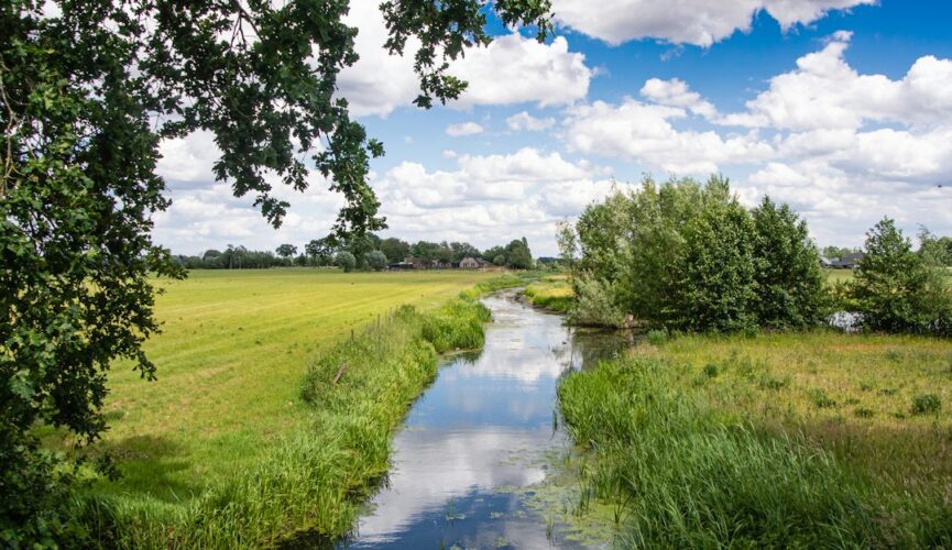 green grass field near river under blue sky during daytime